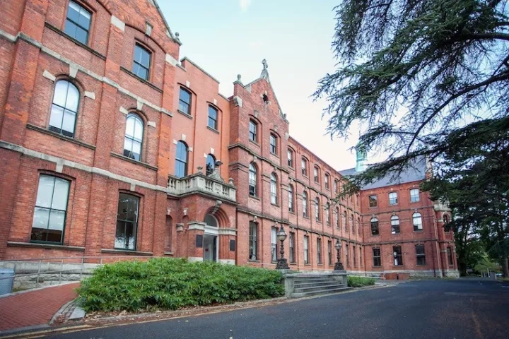 UCD Smurfit商学院米迦勒.webp.jpg