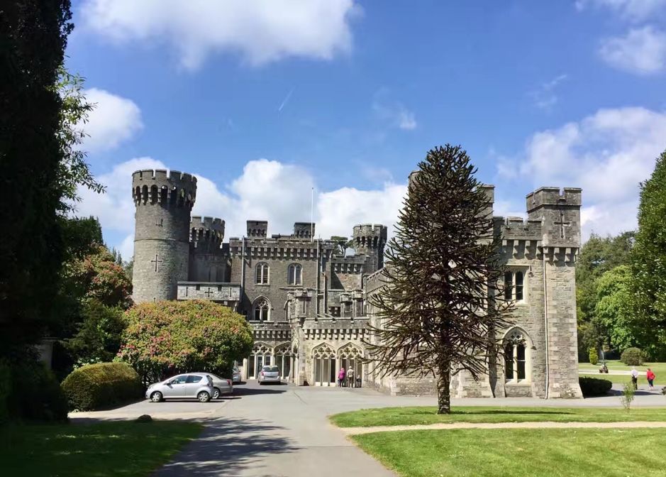 古建维护的project：Johnstown castle.jpg